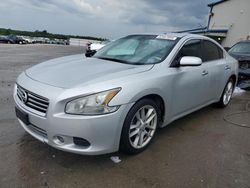 Salvage cars for sale at Memphis, TN auction: 2011 Nissan Maxima S