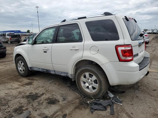 2011 Ford Escape Limited