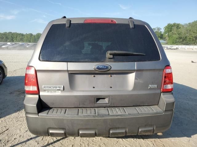 2010 Ford Escape XLT