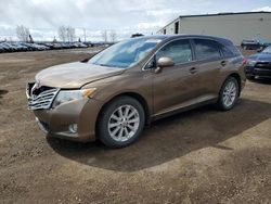 Salvage cars for sale at Rocky View County, AB auction: 2010 Toyota Venza