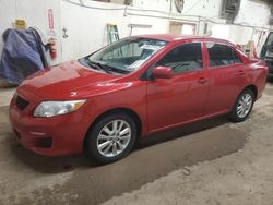 Salvage cars for sale at Casper, WY auction: 2009 Toyota Corolla Base