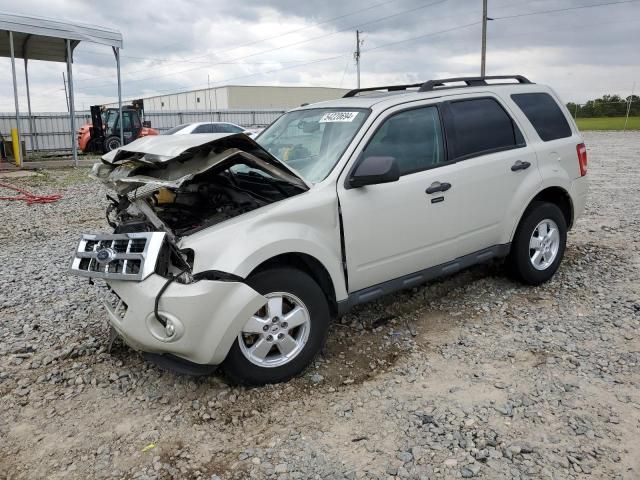 2009 Ford Escape XLT