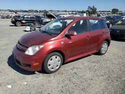 Salvage cars for sale at Antelope, CA auction: 2006 Scion XA