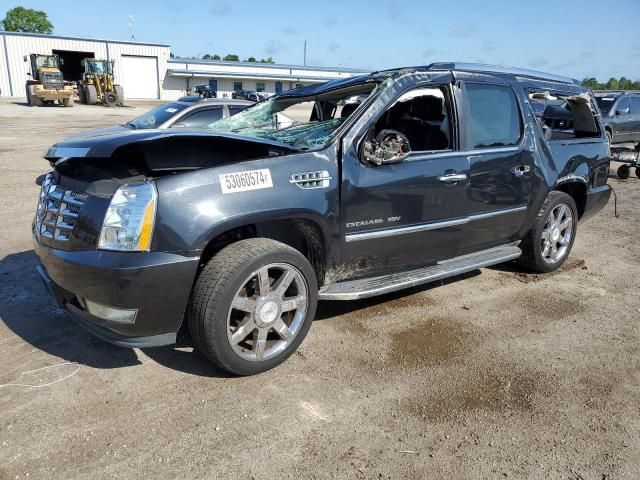 2010 Cadillac Escalade ESV Luxury