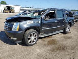 Salvage cars for sale at Harleyville, SC auction: 2010 Cadillac Escalade ESV Luxury
