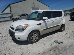 Salvage cars for sale at Lawrenceburg, KY auction: 2011 KIA Soul +