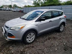 Salvage cars for sale at Marlboro, NY auction: 2014 Ford Escape S