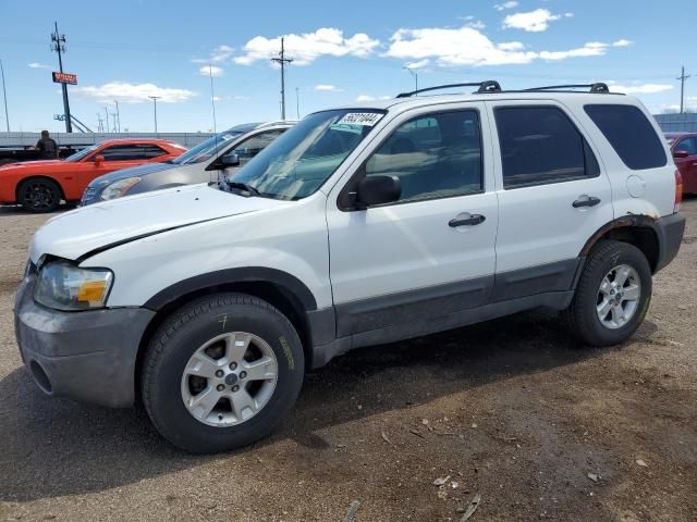 2007 Ford Escape XLT