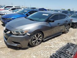 2016 Nissan Maxima 3.5S en venta en Haslet, TX