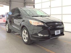 Salvage cars for sale from Copart Grand Prairie, TX: 2014 Ford Escape SE