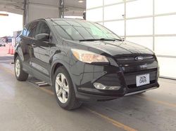 2014 Ford Escape SE en venta en Grand Prairie, TX