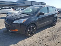 Salvage cars for sale at Earlington, KY auction: 2013 Ford Escape S