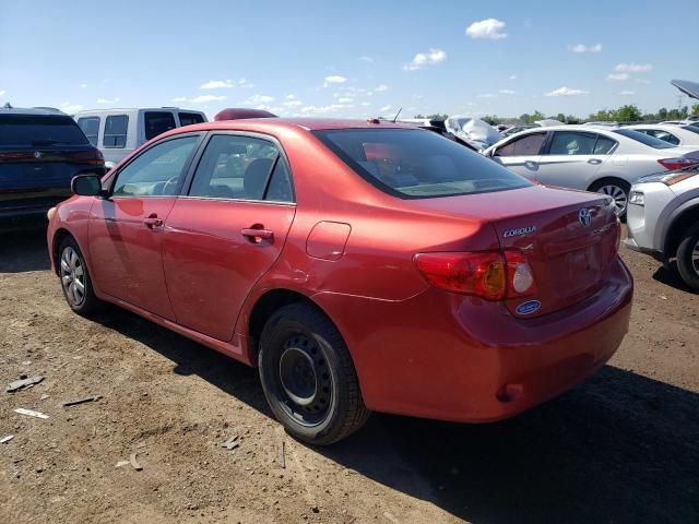 2009 Toyota Corolla Base