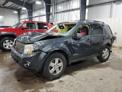 Salvage cars for sale at Ham Lake, MN auction: 2008 Ford Escape XLT