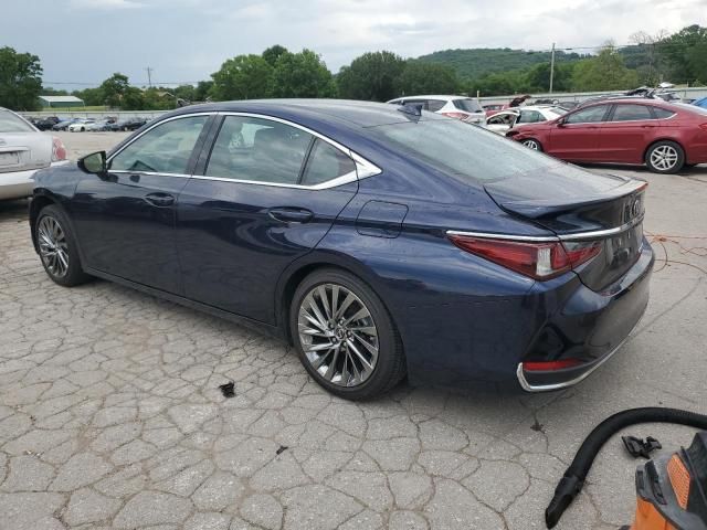 2024 Lexus ES 300H Base