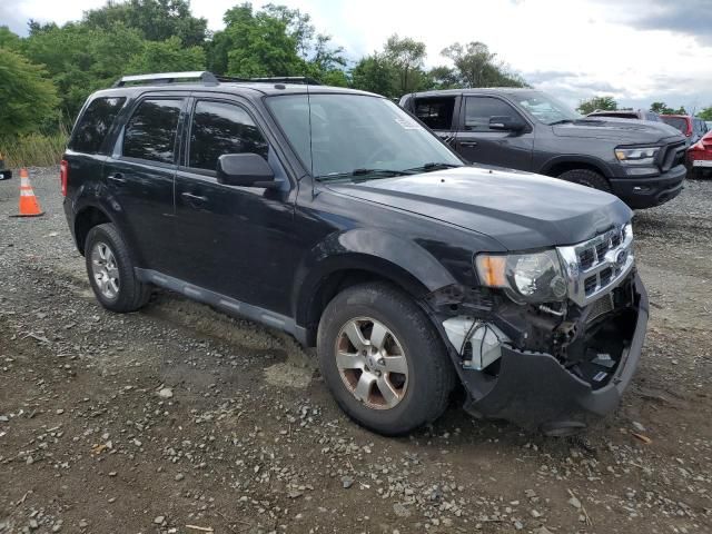 2010 Ford Escape Limited