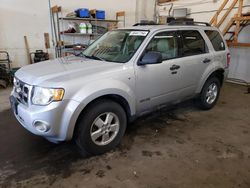 Salvage cars for sale from Copart Ham Lake, MN: 2008 Ford Escape XLT