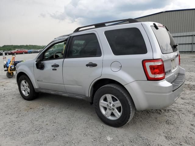 2010 Ford Escape Hybrid