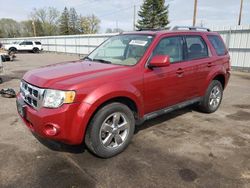 Salvage cars for sale at Ham Lake, MN auction: 2009 Ford Escape Limited