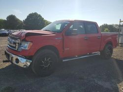 Vehiculos salvage en venta de Copart Mocksville, NC: 2014 Ford F150 Supercrew