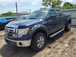 Trucks With No Damage for sale at auction: 2010 Ford F150 Supercrew