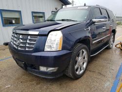 Cadillac salvage cars for sale: 2008 Cadillac Escalade Luxury