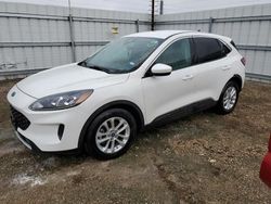 Ford Escape se salvage cars for sale: 2020 Ford Escape SE