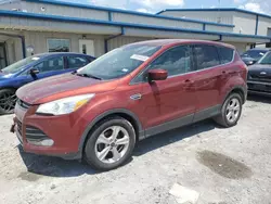 Salvage cars for sale at Earlington, KY auction: 2015 Ford Escape SE