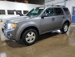 Vehiculos salvage en venta de Copart Blaine, MN: 2011 Ford Escape XLT