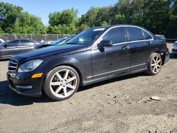 Salvage cars for sale at Waldorf, MD auction: 2014 Mercedes-Benz C 300 4matic