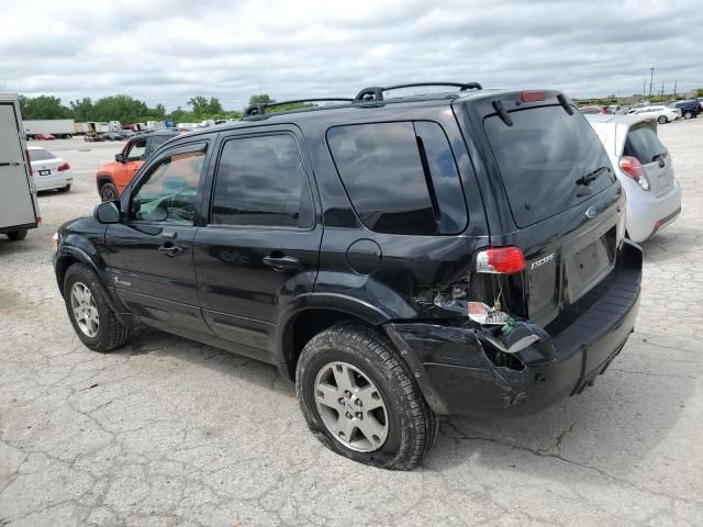 2006 Ford Escape HEV