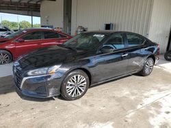 Salvage cars for sale at Homestead, FL auction: 2023 Nissan Altima SV