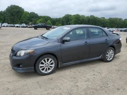 Vehiculos salvage en venta de Copart Conway, AR: 2010 Toyota Corolla Base