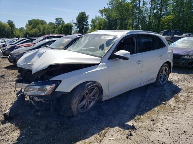 2014 Audi Q5 TDI Premium Plus