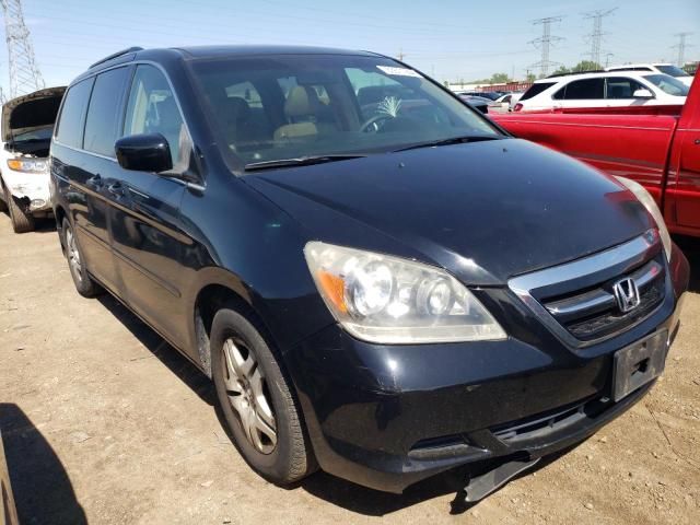 2005 Honda Odyssey EXL