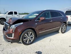 Salvage cars for sale at Arcadia, FL auction: 2022 Cadillac XT5 Premium Luxury