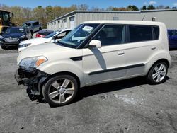 Salvage cars for sale at Exeter, RI auction: 2010 KIA Soul +
