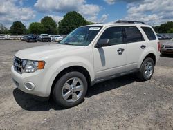 Ford Escape XLT salvage cars for sale: 2010 Ford Escape XLT