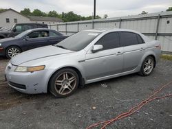 Salvage cars for sale at York Haven, PA auction: 2008 Acura TL