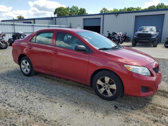 2010 Toyota Corolla Base