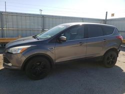 Salvage cars for sale at Dyer, IN auction: 2014 Ford Escape SE