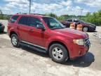 2009 Ford Escape XLT