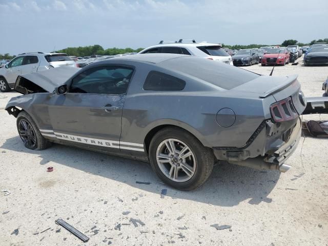 2013 Ford Mustang