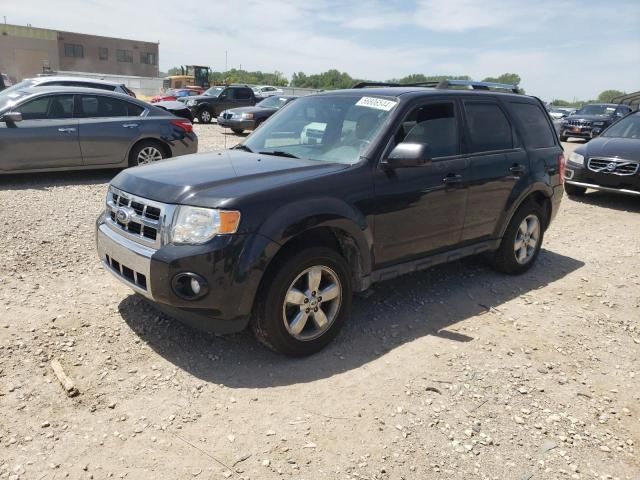 2011 Ford Escape Limited