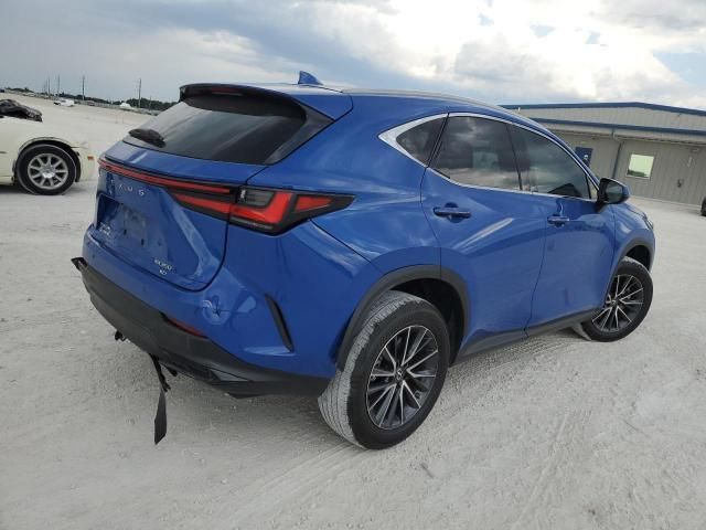 2022 Lexus NX 350