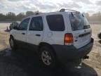 2005 Ford Escape XLT