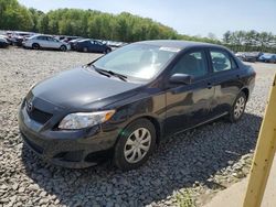 Toyota salvage cars for sale: 2010 Toyota Corolla Base