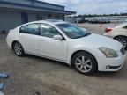 2005 Nissan Maxima SE