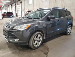 Salvage cars for sale from Copart Blaine, MN: 2016 Ford Escape SE