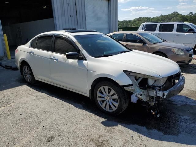 2011 Honda Accord EXL